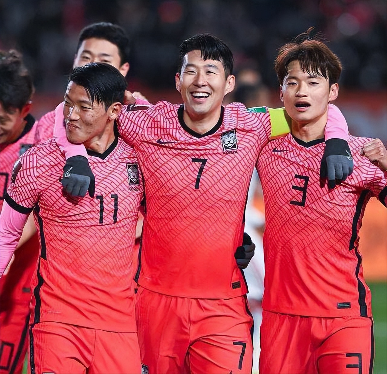 老鹰和狮子见面,老鹰与狮子大战