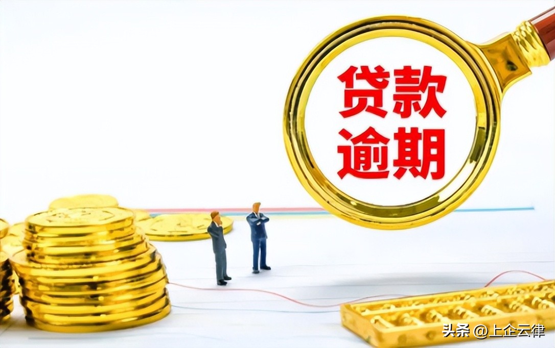 如何把网贷公司告上法庭,被网贷告上法庭怎么办