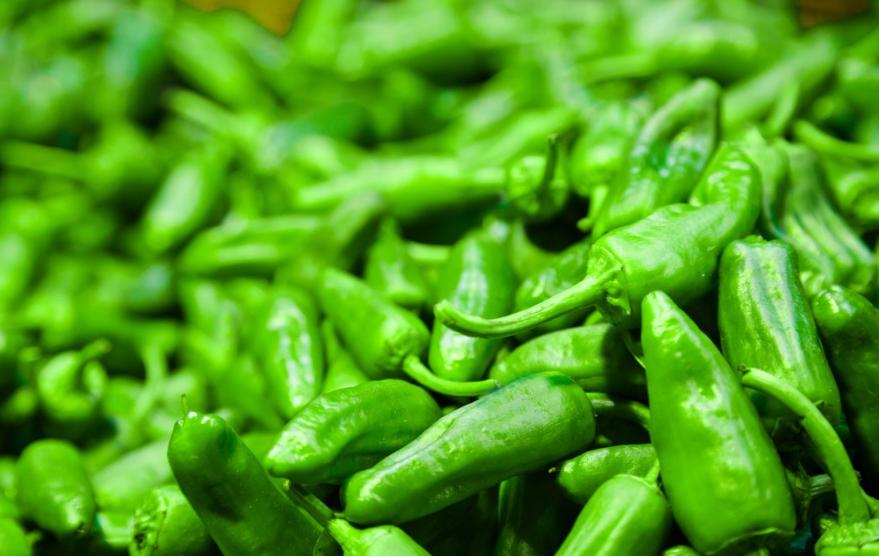 不同的辣椒秧怎么区分,同种辣椒鲜的辣还是干的辣