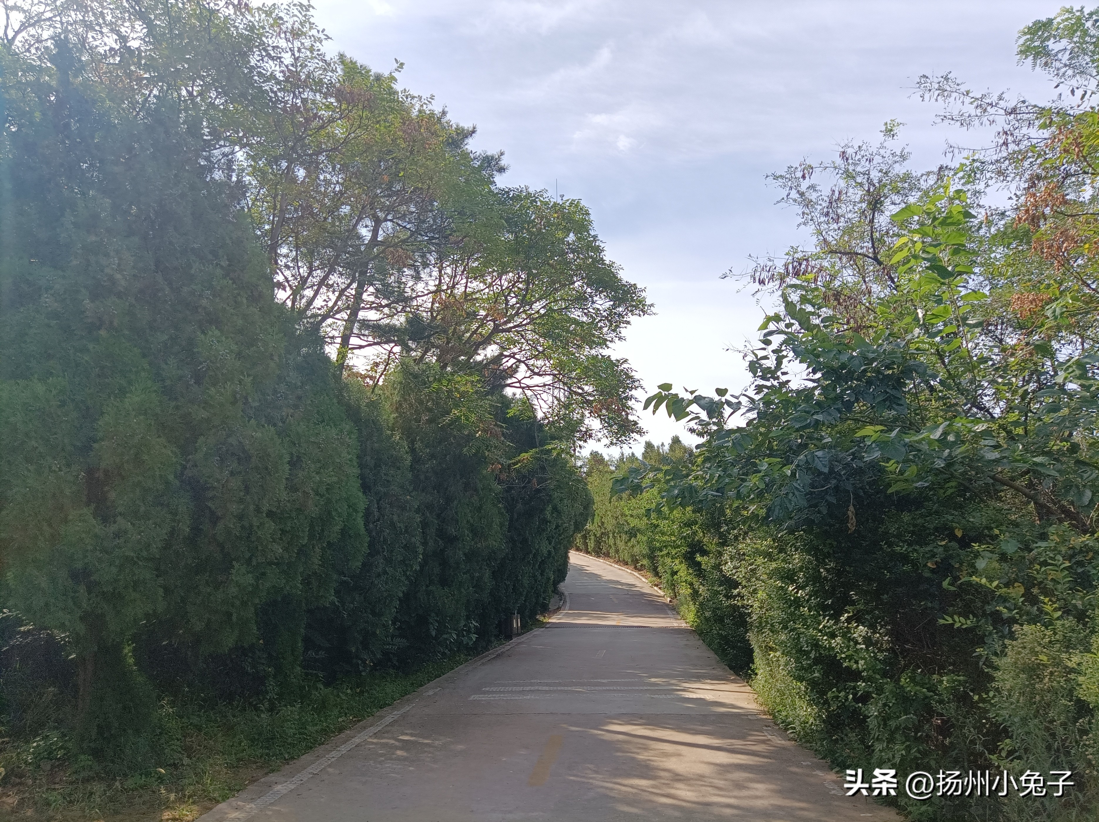 去林海需要爬山吗,到荒山野岭探险