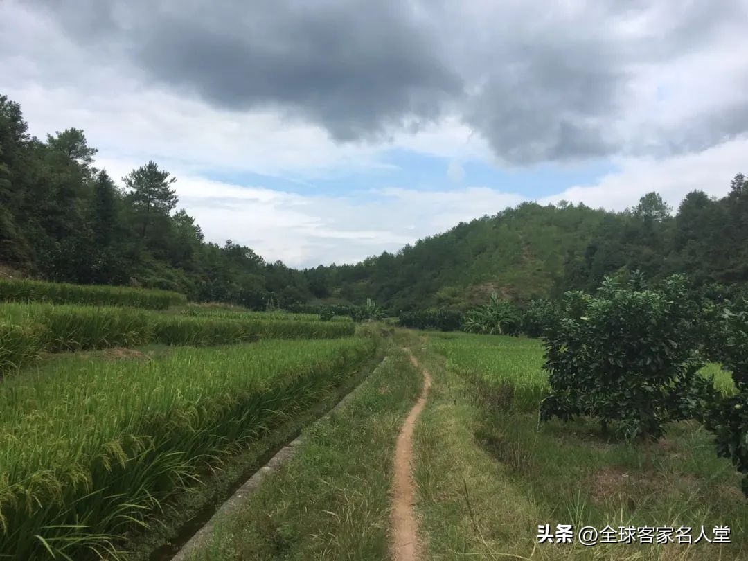 寻味赣菜客家菜,寻味赣南客家