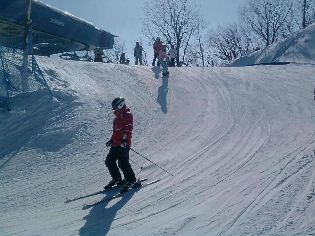 哈尔滨体育学院里有没有专科,哈尔滨体育学院专业排名