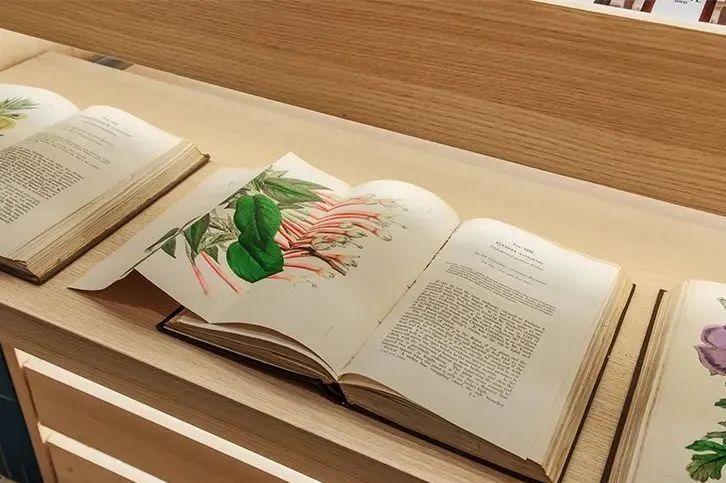 2020最受欢迎品牌排行榜,盘点2018最受欢迎品牌