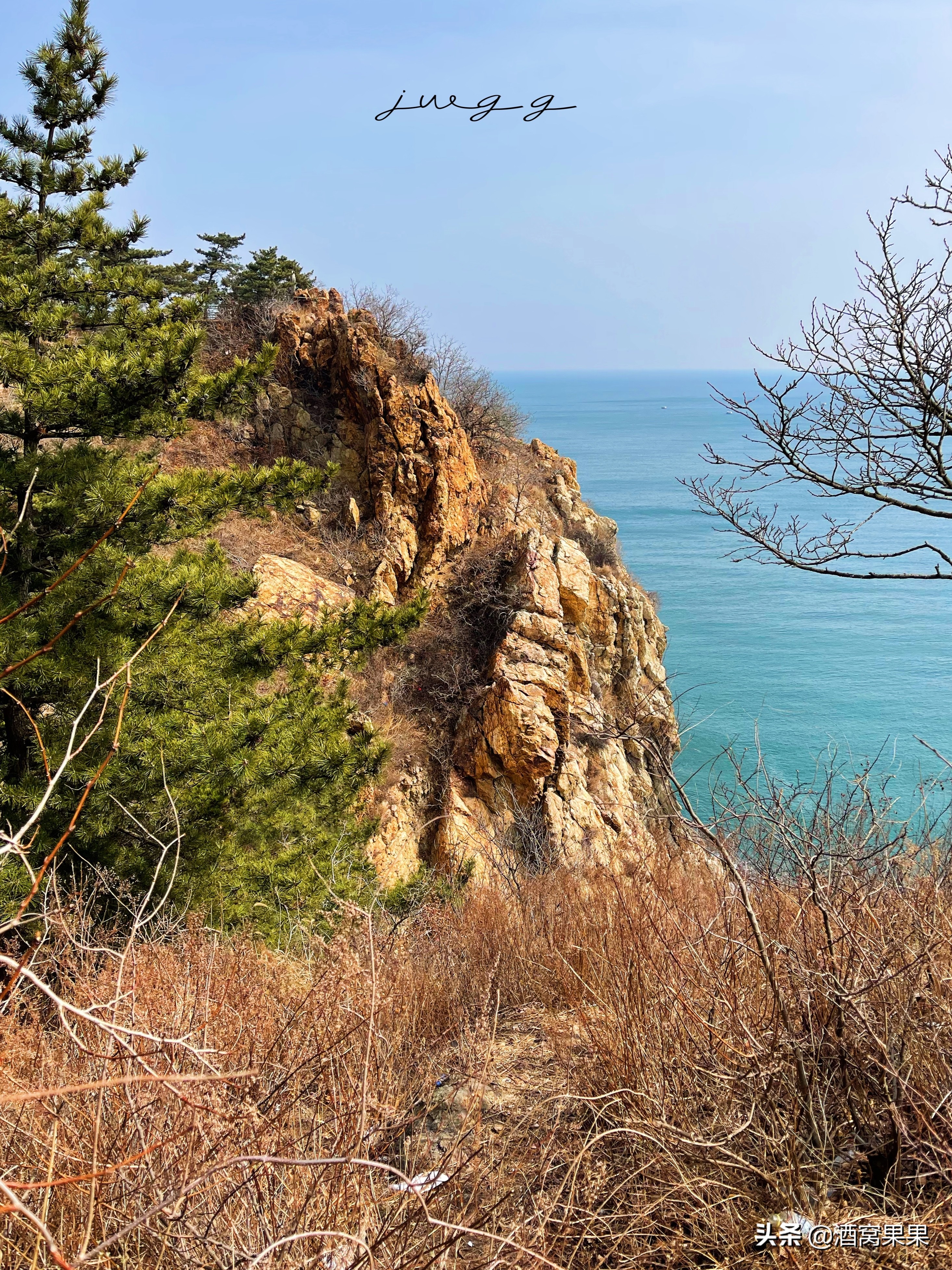 大连燕窝岭赶海时间表,大连免费赶海的燕窝岭