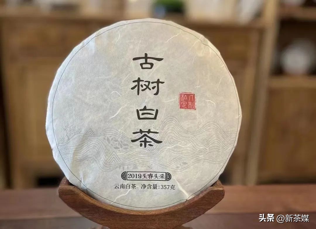 刀哥说茶普洱茶怎样审评才靠谱,刀哥说茶十问云南白茶