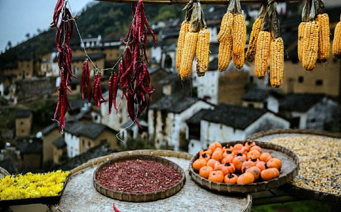 最有诗意的唐诗宋词,唐诗宋词绝美诗句