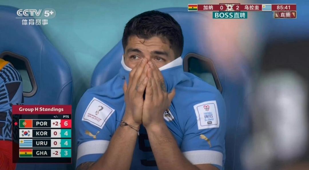 世界杯球迷愤怒时刻,这届世界杯乌烟瘴气