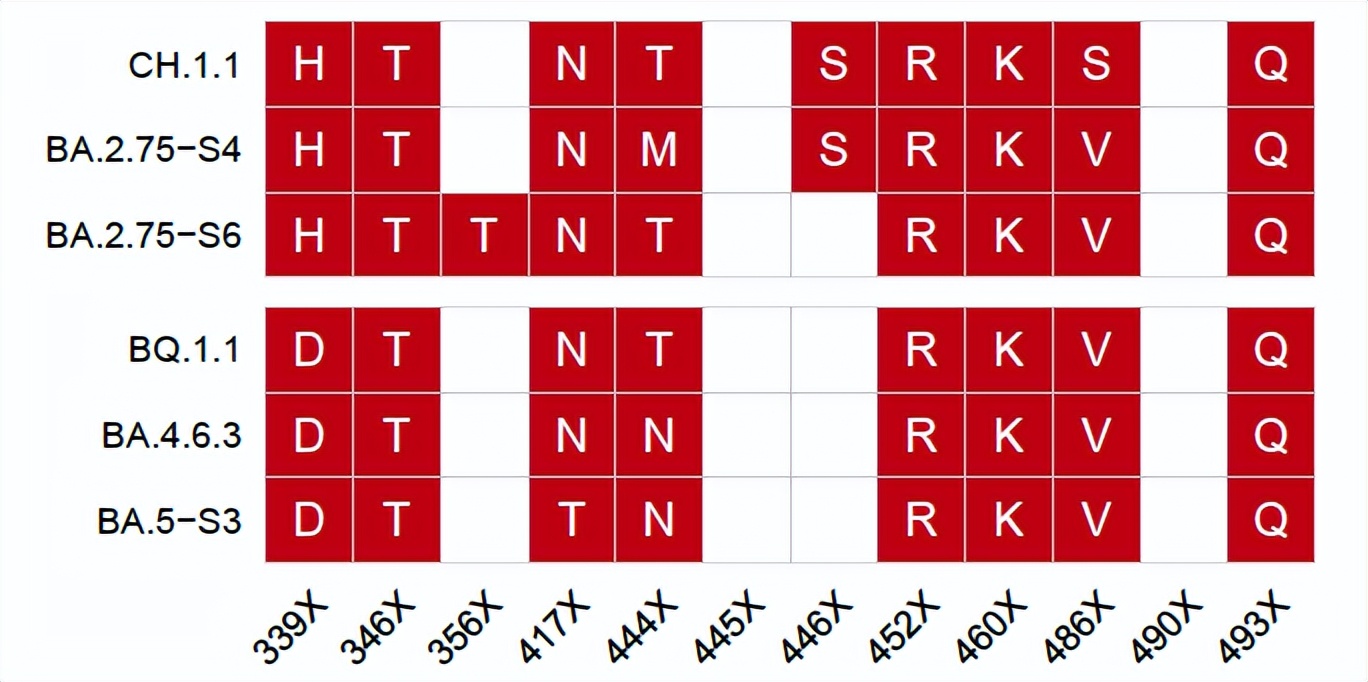 从流感病毒看新冠病毒的未来,流感及新冠病毒科普