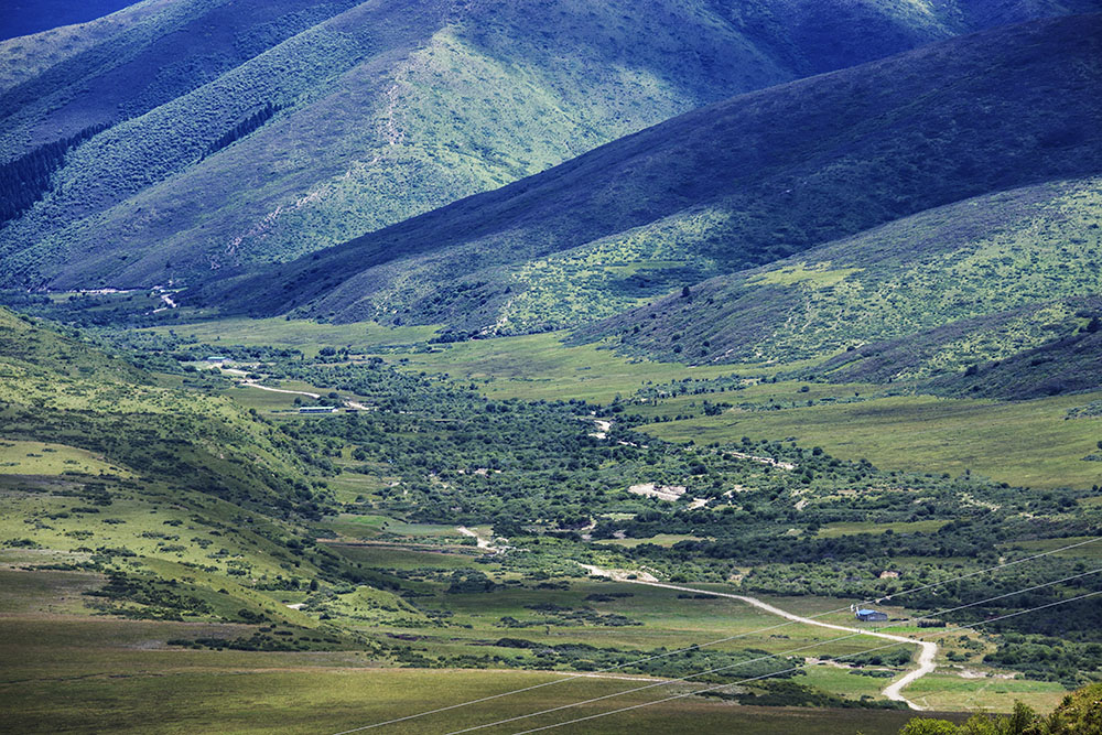 西部大草原旅游攻略,四川红原大草原自驾旅游攻略