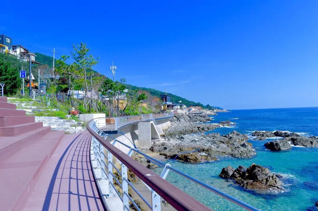 真实的韩国社会现状,韩国留学的真实现状