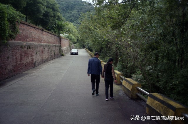 爸妈生下我基本没怎么管过，现在他们老了却要我赡养，我如何是好