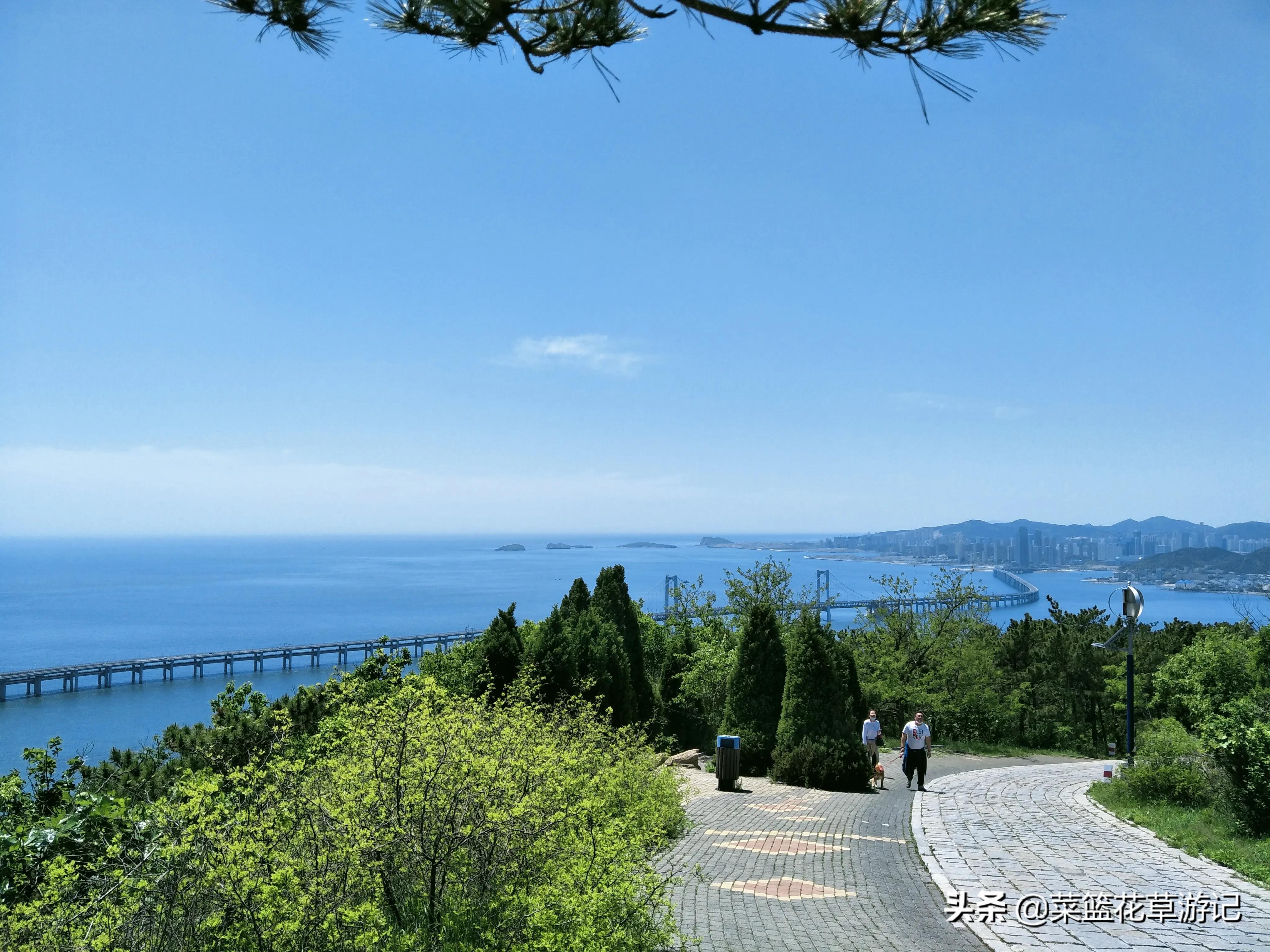 夕阳西下大连跨海大桥最佳观景地,大连莲花山观景台跨海大桥视频