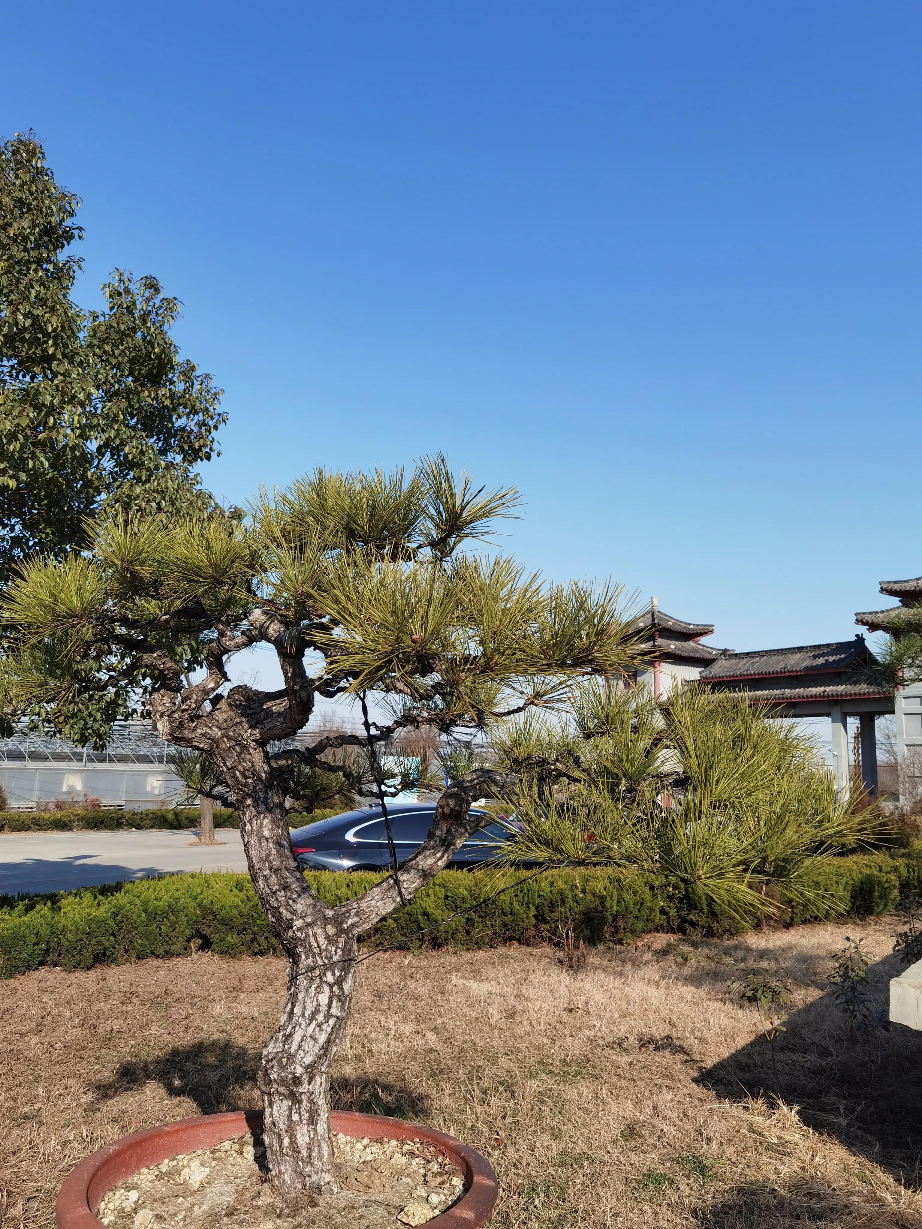 给自己的人生赋予意义,做任何事都要赋予意义