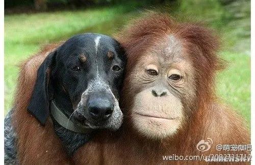 搞笑段子闺蜜笑得肚子疼,三个闺蜜一个男闺蜜的搞笑段子