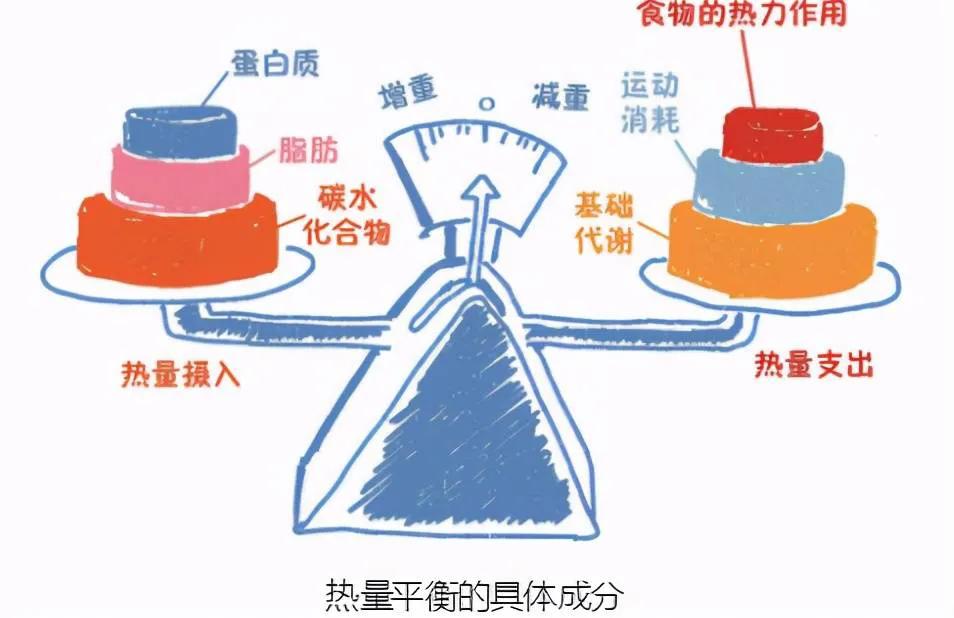 小肚腩松垮怎么减,怎样减掉小肚腩和腹部赘肉