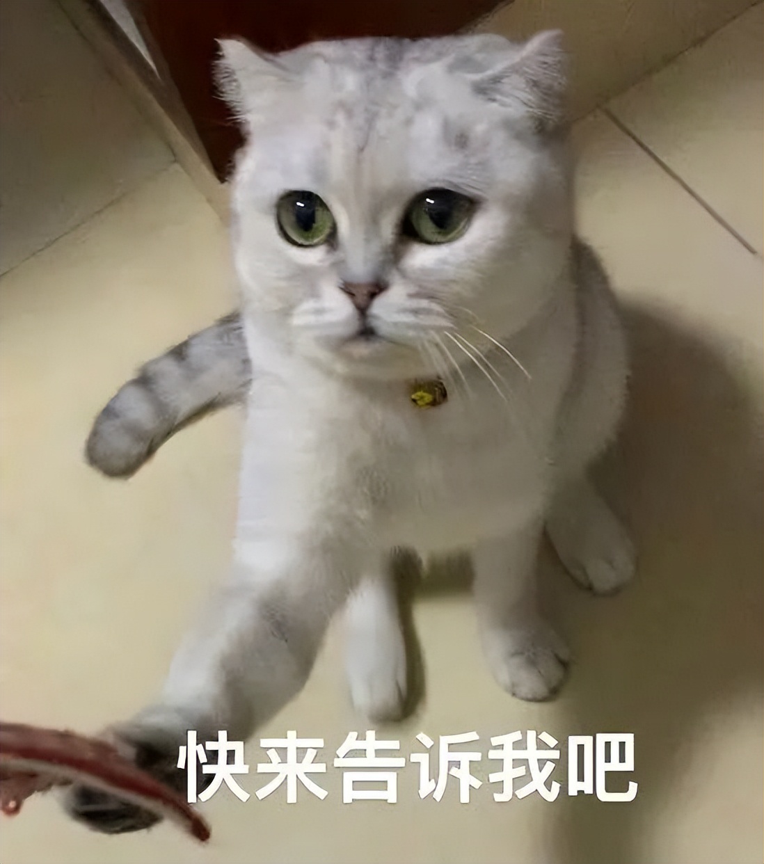 出入境有奖问答题目简单,出入境问题咨询电话