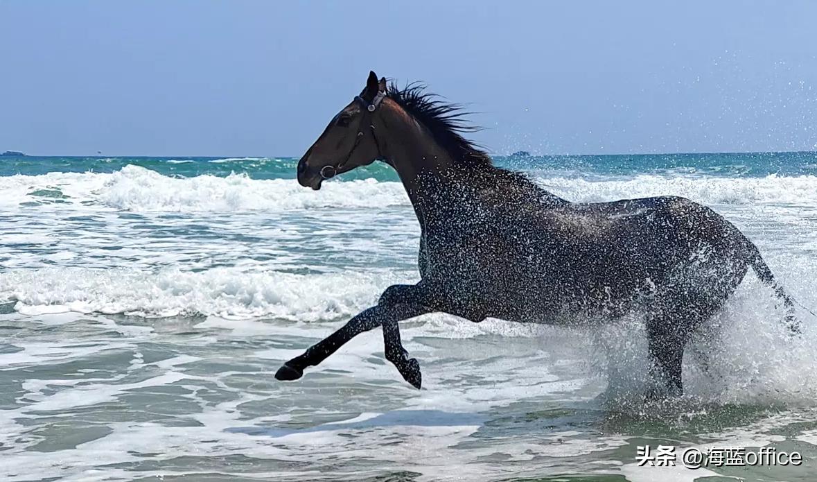 vivoxfold与xfold2区别,vivoxfold+和vivoxfold2区别