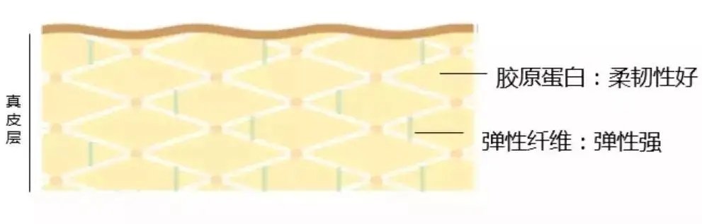 护肤品竟有这么多“王炸CP”,这几组我先磕为敬