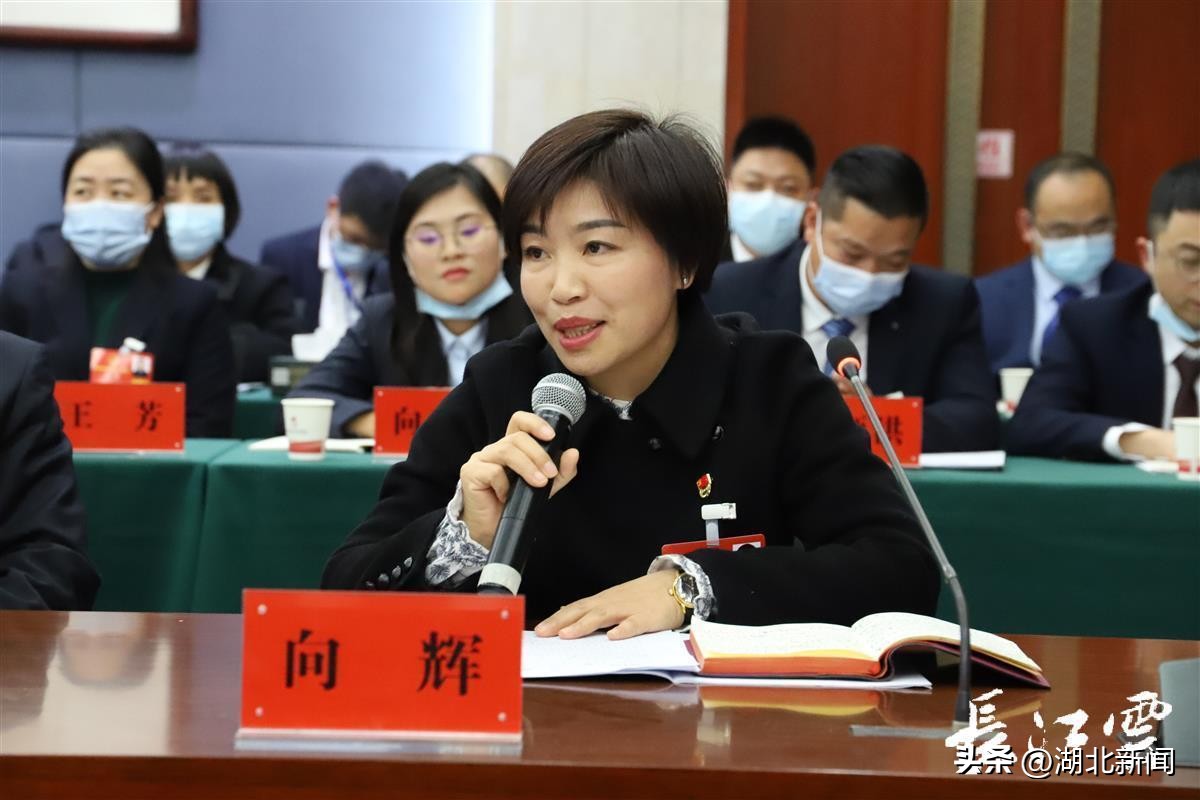 *党**代表风采|向辉:自己富了,就该带动村民一同致富