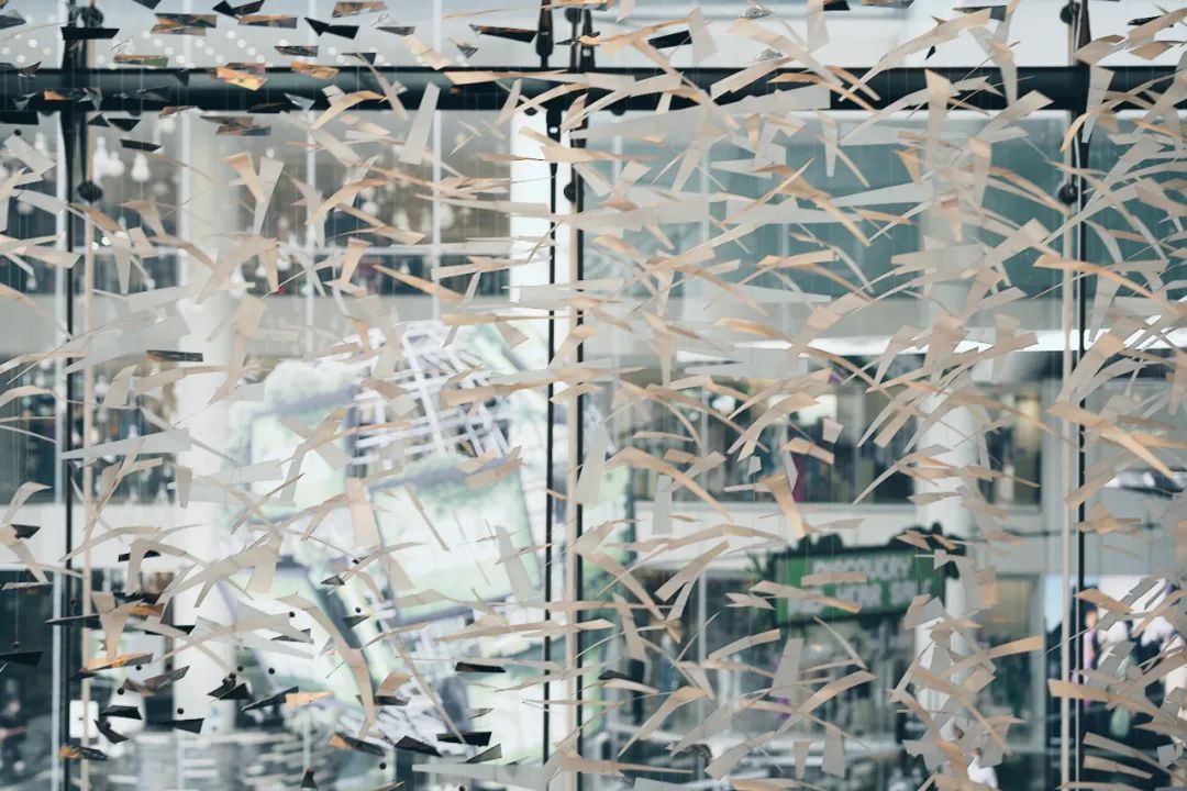 谁懂啊，泰国也太好逛了！