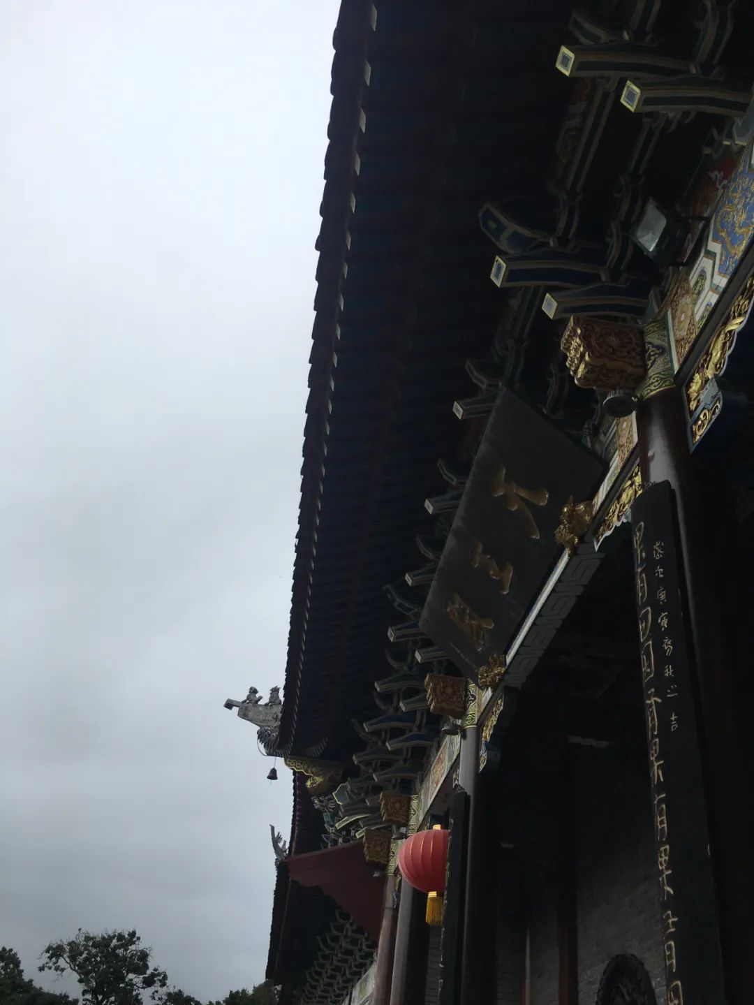 《旭光骑行深圳》第19站——大鹏新区大鹏街道