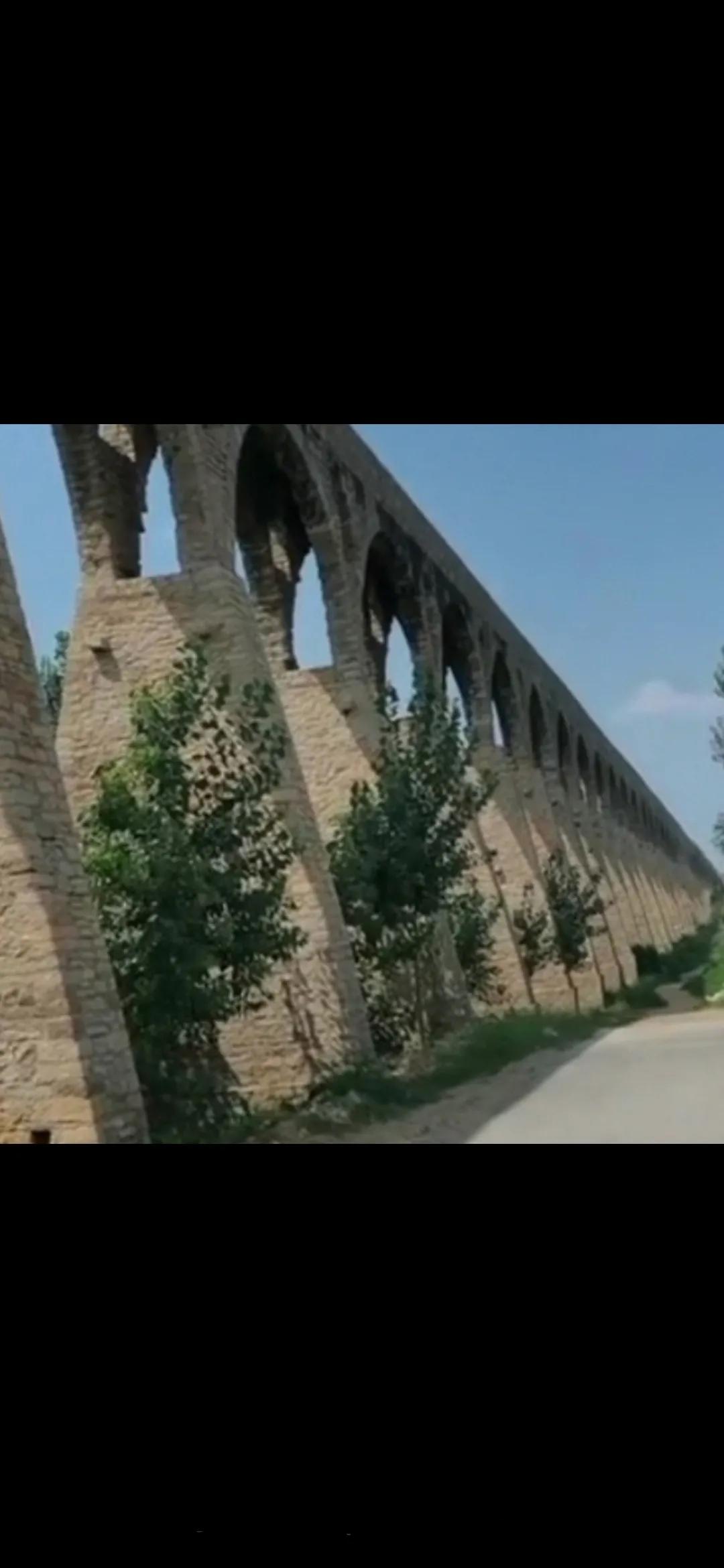 三年级我的小姨作文300字,我的小姨三年级下册三百字