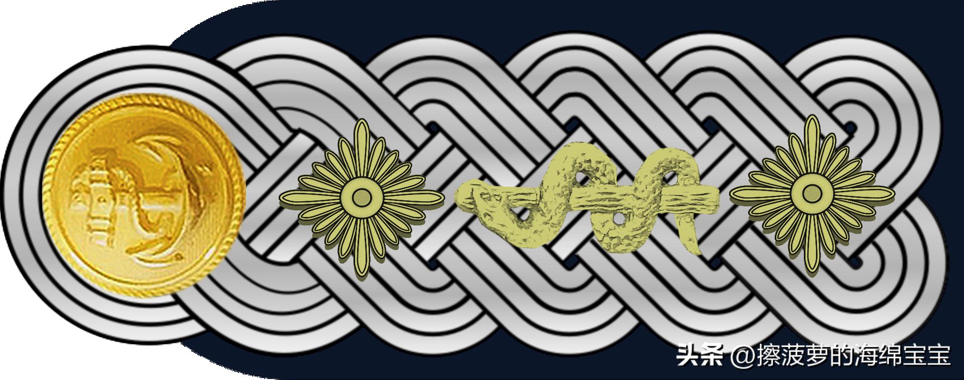 二战德国国防军医疗兵军衔标志