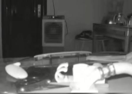 私闯民宅被狗咬了法院怎么判,非法闯入他人住宅被狗咬死