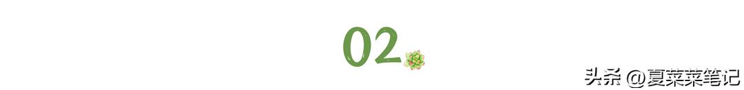 父母养老问题独生子女难吗,父母养老的心酸