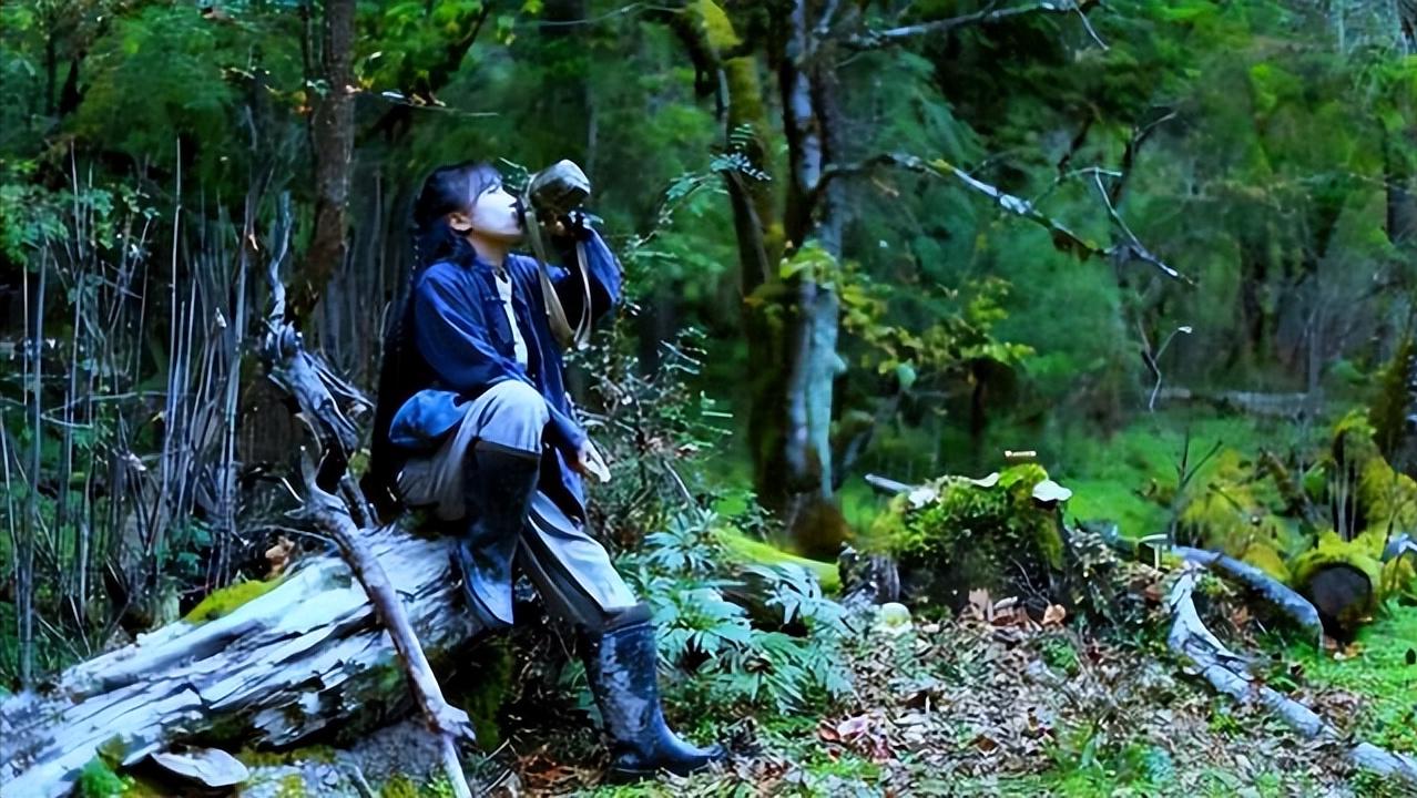 李子柒怎么会有那么大的院子,李子柒隐居山林度过惬意时光