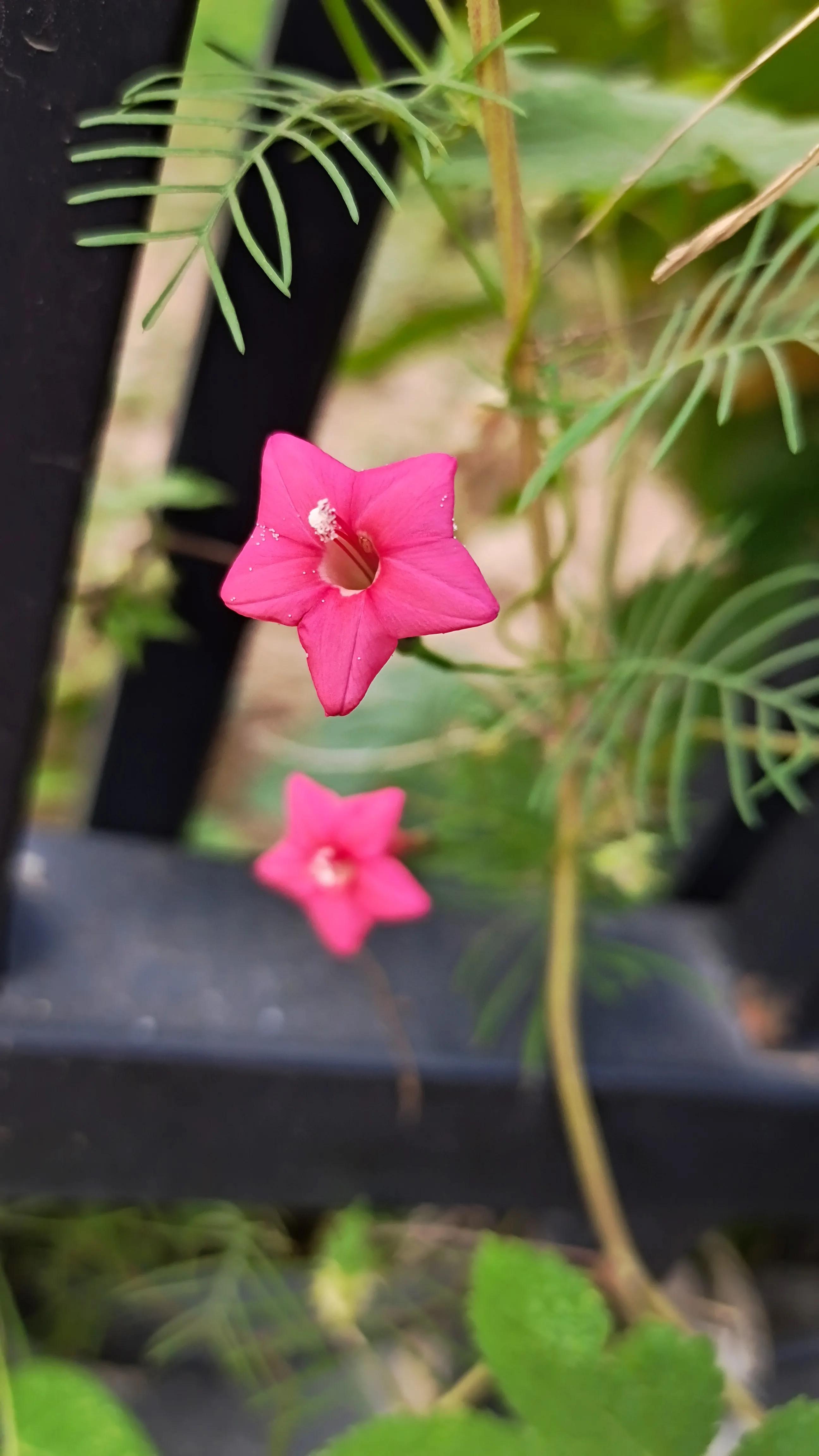 念念不忘必有回响的意思,念念不忘必有回响么