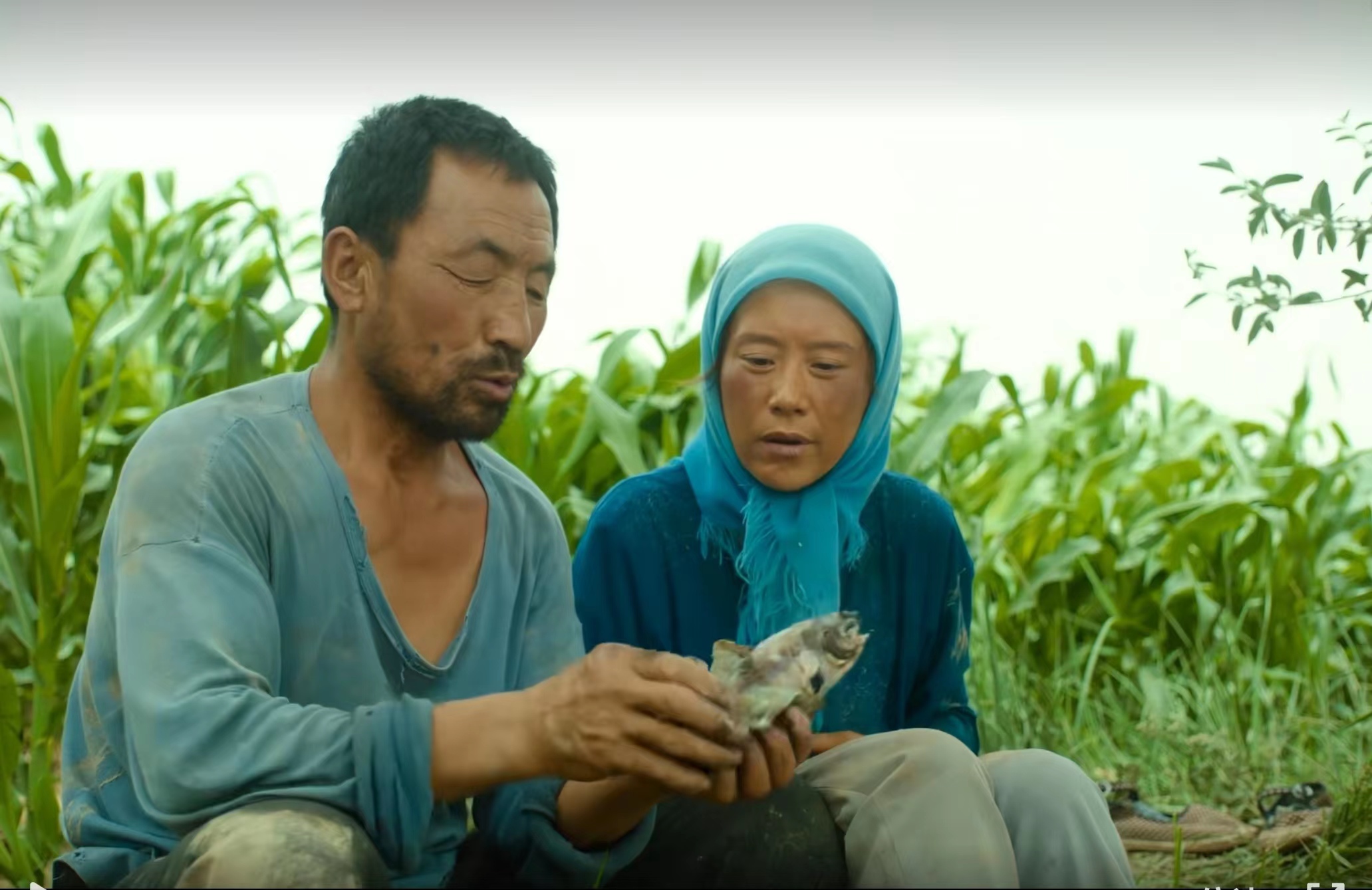 电影欣赏（六）《隐入尘烟》中的卑微人生