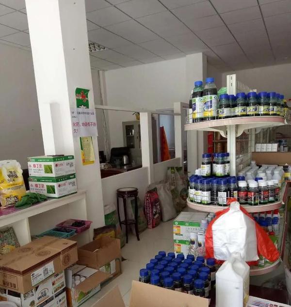 农村致富经2023新商机,8个农村创业致富的好项目