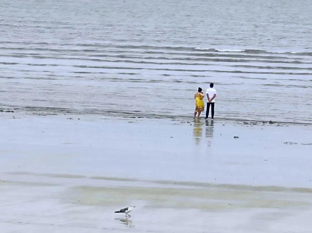 5万买海景房乳山银滩成海边鹤岗,适合定居的海边房价超低的小城市