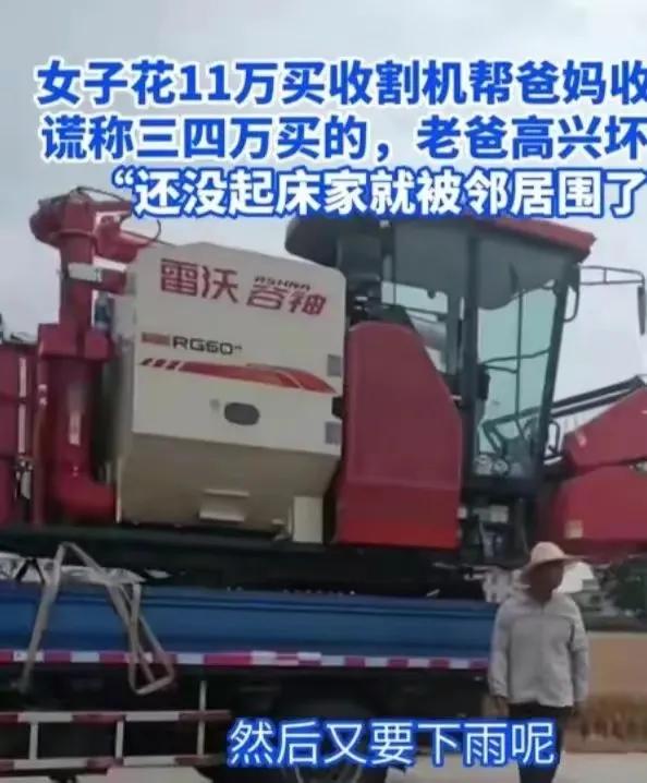 女子花11万买收割机收麦子,女子花11万给爸妈买收割机