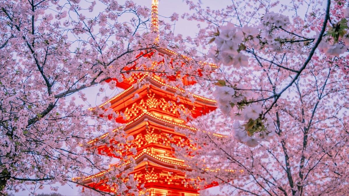 北航北理哈工大同济怎么选择,中国科学技术大学和北航分数线