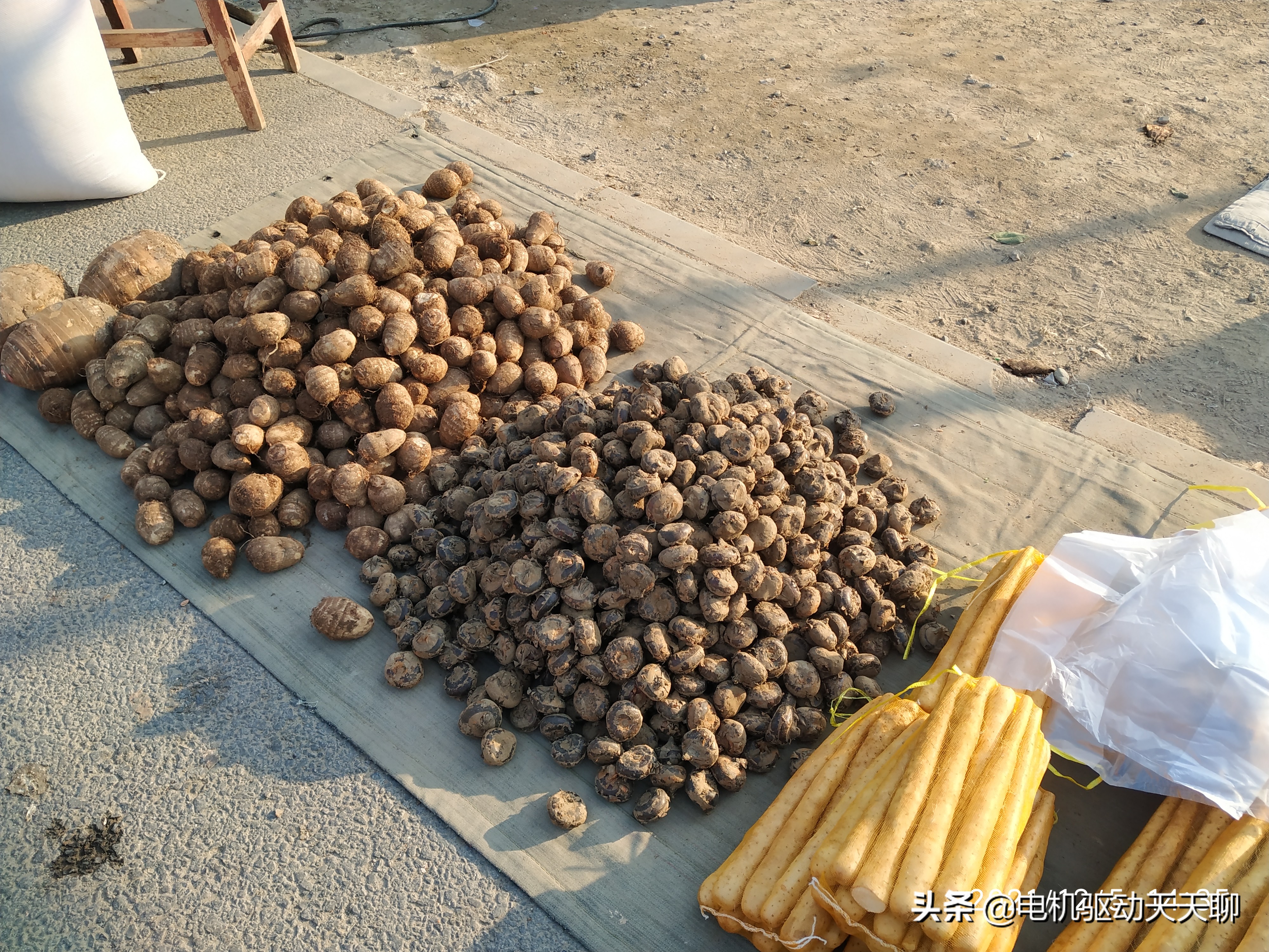 窦店田家园大集什么时间开放,房山窦店田家园大集现在开了吗