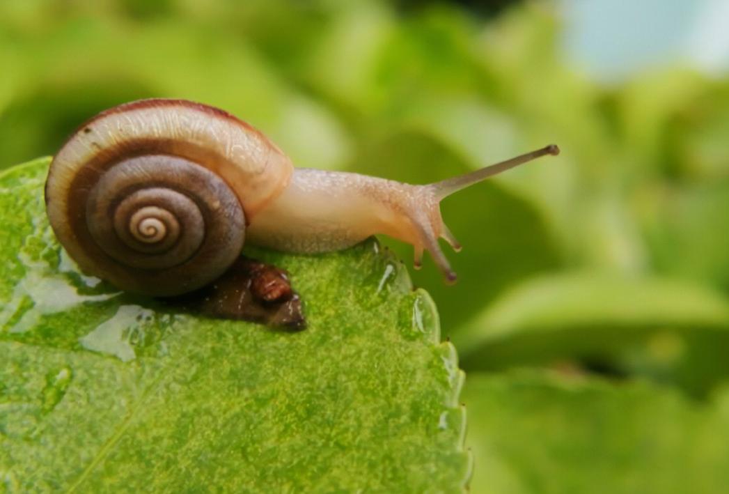 100句最经典古诗词名句,最值得深思的一句古诗词