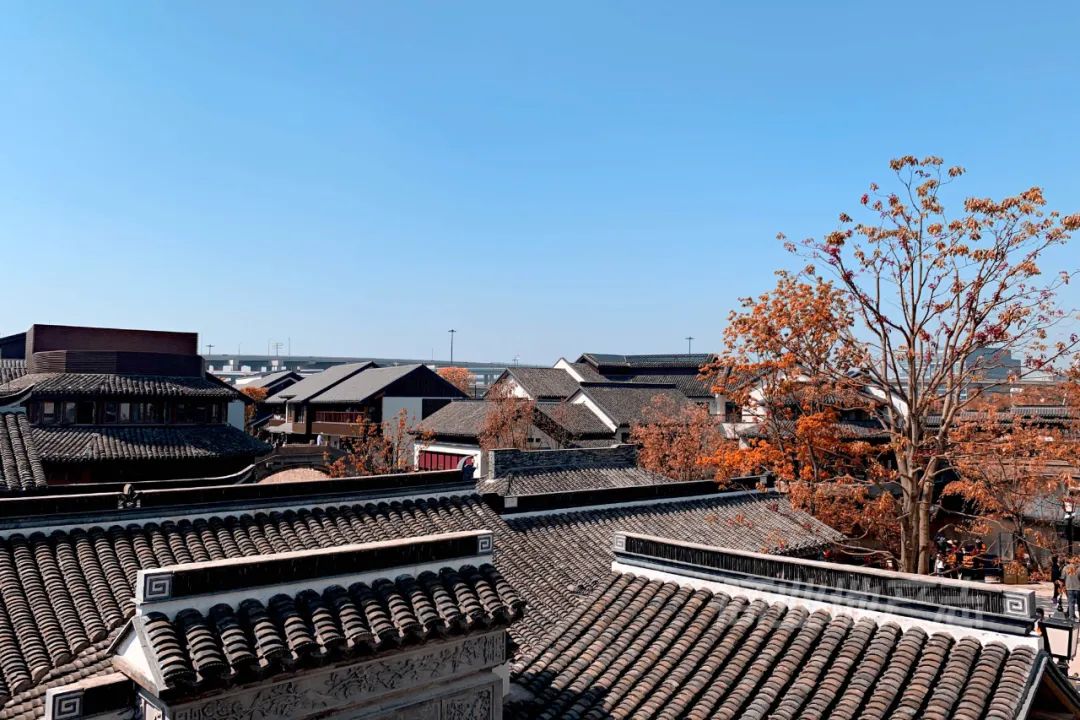 CRR百图斩｜公园里的新天地：上海蟠龙天地