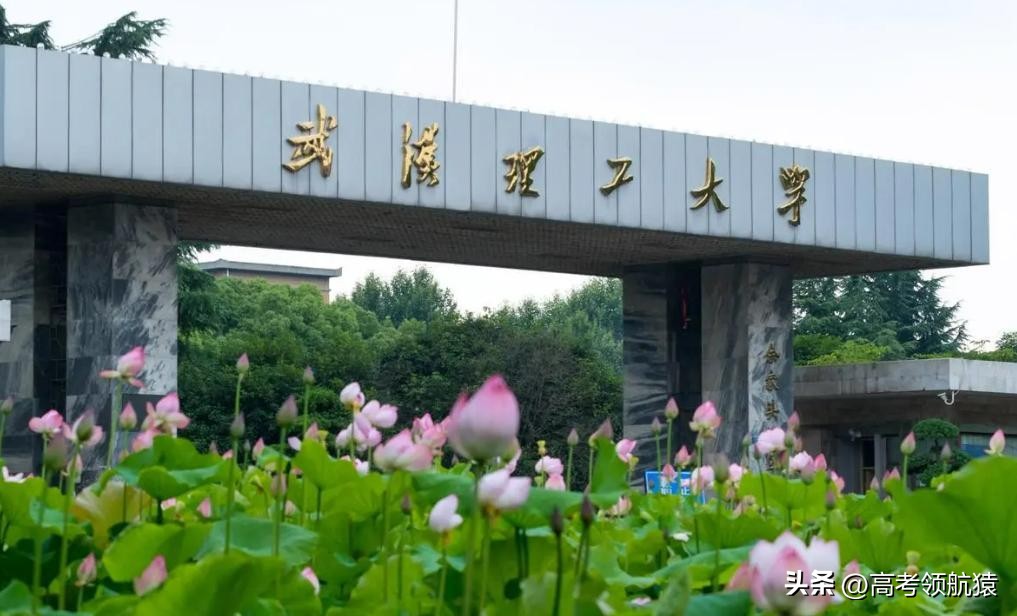 张雪峰谈南理工和武汉理工哪个好,张雪峰评价武汉理工大学最强专业