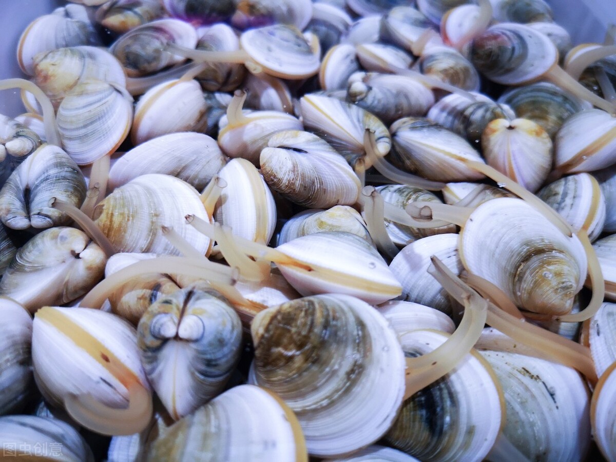 安徽阜阳市锡纸花甲米线加盟案例,地摊花甲米线的正宗做法教学