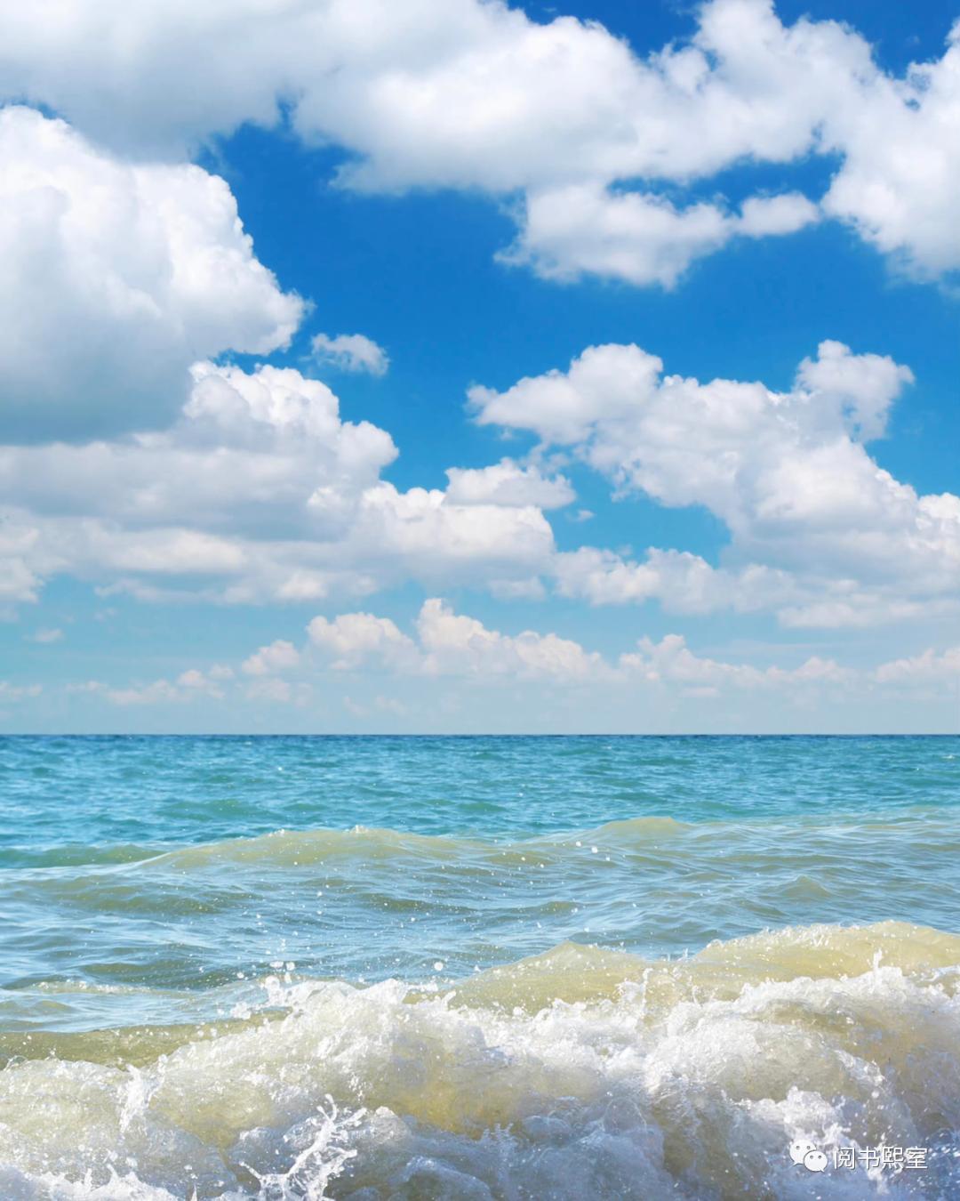 认识反作用力实验,认识反文旁