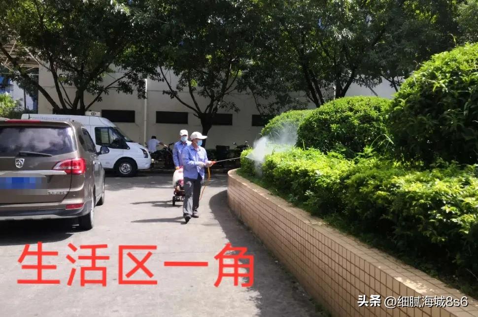 深圳还有宝龙比亚迪吗,深圳宝龙比亚迪现在封厂没