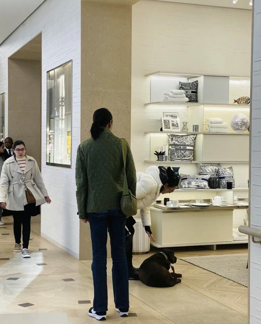 巩俐与郎平同框,郎平和巩俐最新花絮