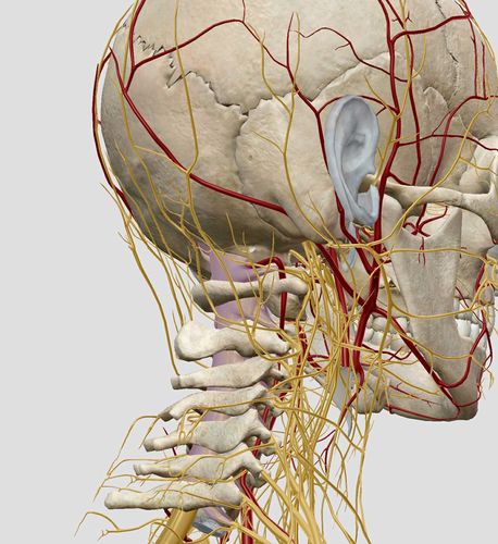 中医扎针治疗偏头痛,夹脊脉冲电针疗法