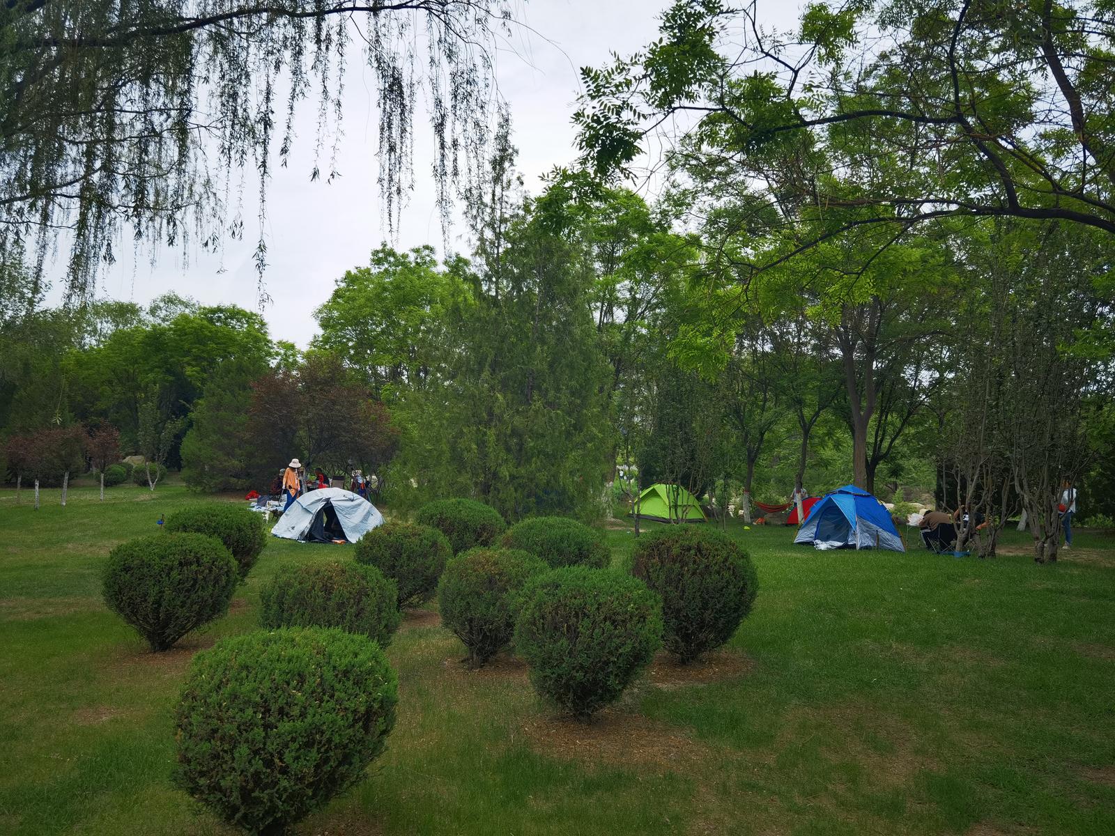 银川露营过夜地点推荐,银川湿地公园露营