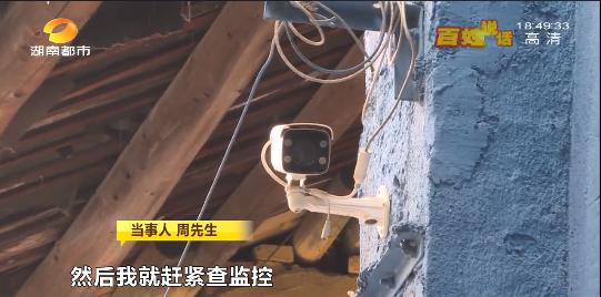 宠物猫被车压死怎么赔偿,宠物猫被车撞死车主要赔偿么