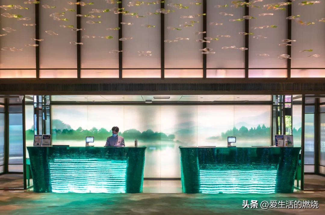 杭州森泊开元度假酒店不含门票,杭州开元森泊度假酒店存在的问题