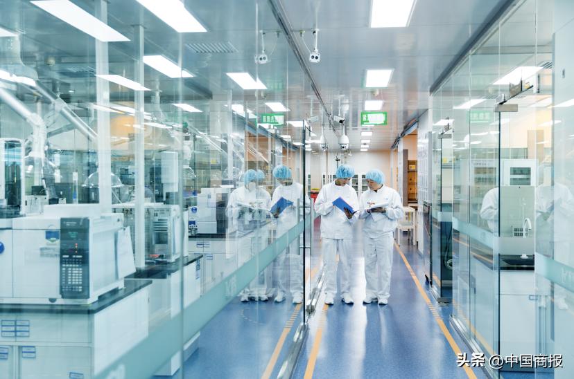 携手萌宠IP飞狗MOCO，飞鹤新国标奶粉登陆天猫“双11”