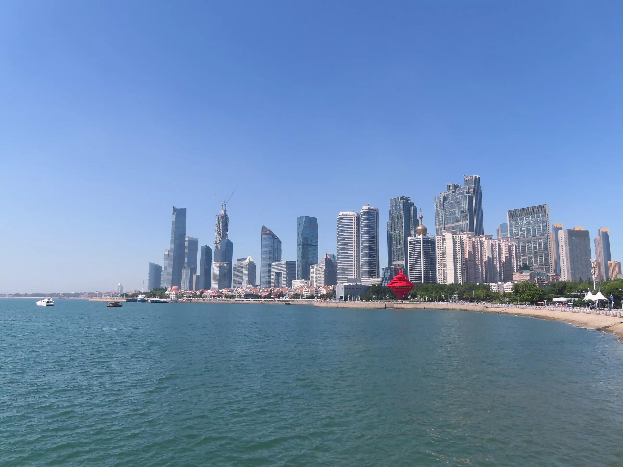 青岛的海,青岛的海鸥